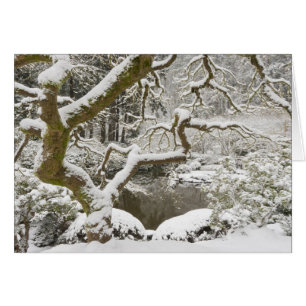 Cartão Bordo japonês coberto de neve