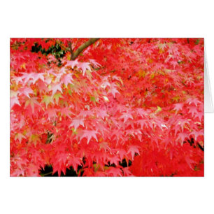 Cartão Bordo vermelho japonês