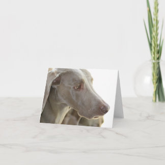 Cartão Bored Weimaraner Note Card