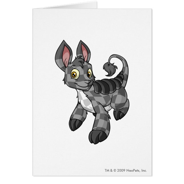 Cartão Bori Checkered (Frente)