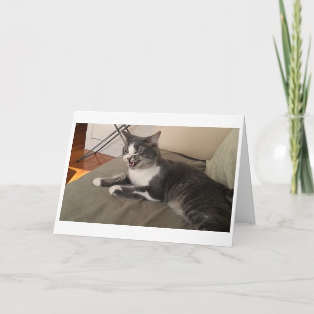 Cartão Boris, a saudação do Gatinho de Nubber (Frente)