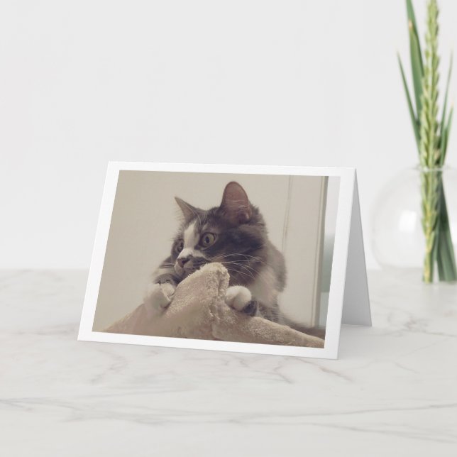 Cartão Boris, a saudação do Gatinho de Nubber (Frente)