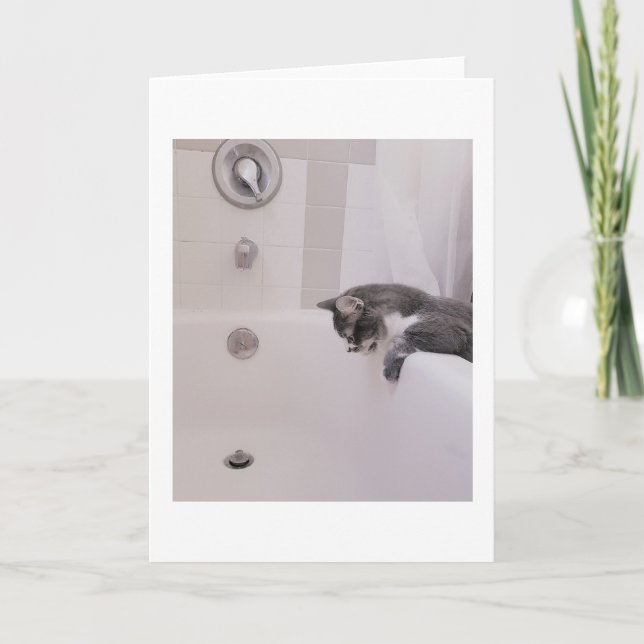 Cartão Boris, a saudação do Gatinho de Nubber (Frente)