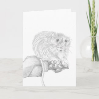 Cartão Boris O Rato, Desenho de Animal