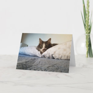 Cartão Boris the Cute Nubber Kitty greeting card