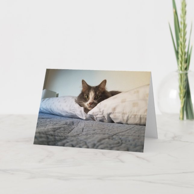Cartão Boris the Cute Nubber Kitty greeting card (Frente)