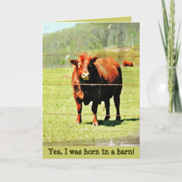 Cartão Born in a Barn Mother's Day Card