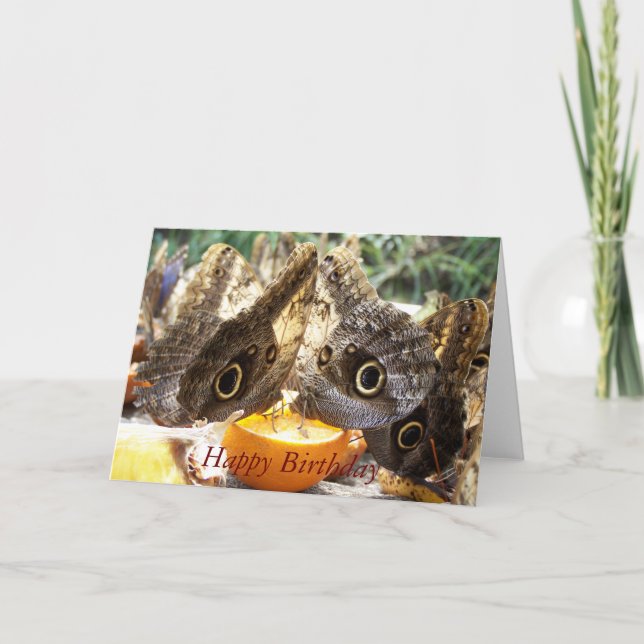 CARTÃO BORRACHAS (Frente)