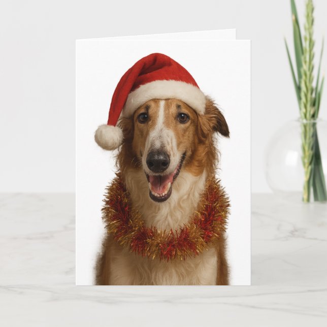 Cartão Borzoi (brown and white)  Santa hat Christmas card (Frente)