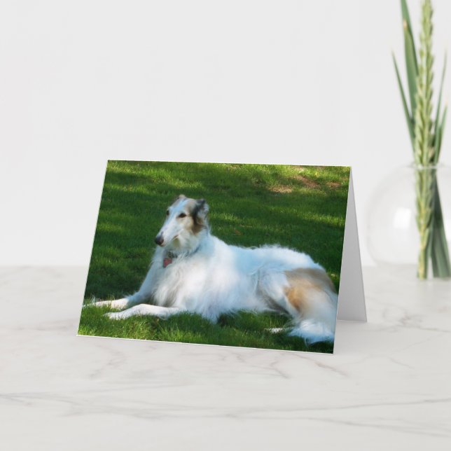 Cartão "Borzoi" Dog Photo Greeting Card (Frente)