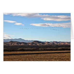 Cartão Bosque del Apache, Novo México