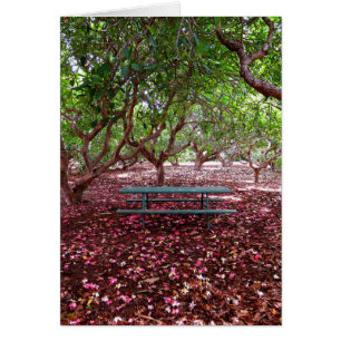 Cartão Bosque do Plumeria