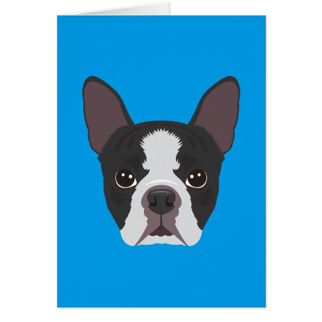 Cartão Boston Terrier (Frente)