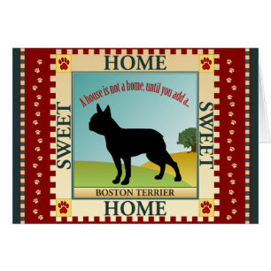 Cartão Boston Terrier