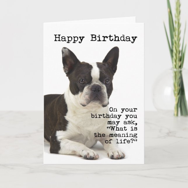 Cartão Boston Terrier Birthday Card (Frente)