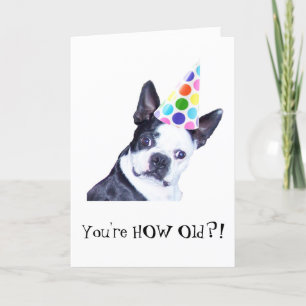 Cartão Boston Terrier Birthday Party - Card