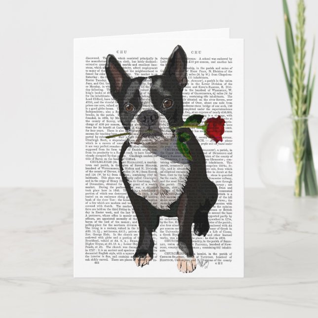 Cartão Boston Terrier com Rosa em Boca (Frente)