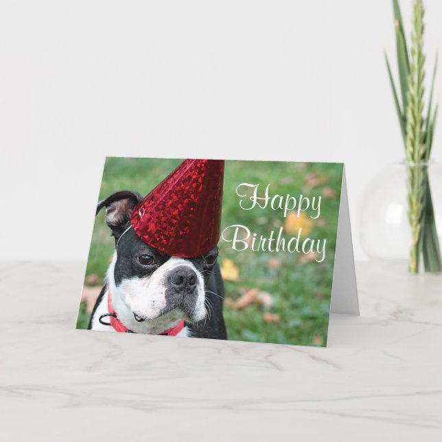 Cartão Boston terrier com um chapéu de aniversário (Frente)