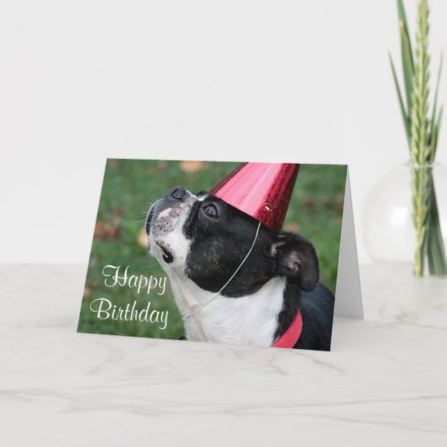 Cartão Boston terrier com um desejo de aniversário (Frente)