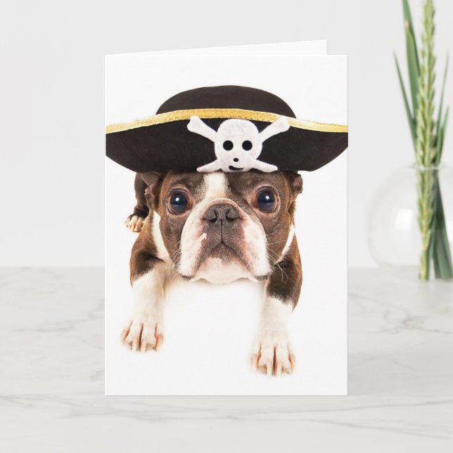 Cartão Boston Terrier Dog Dressed As A Pirate (Frente)