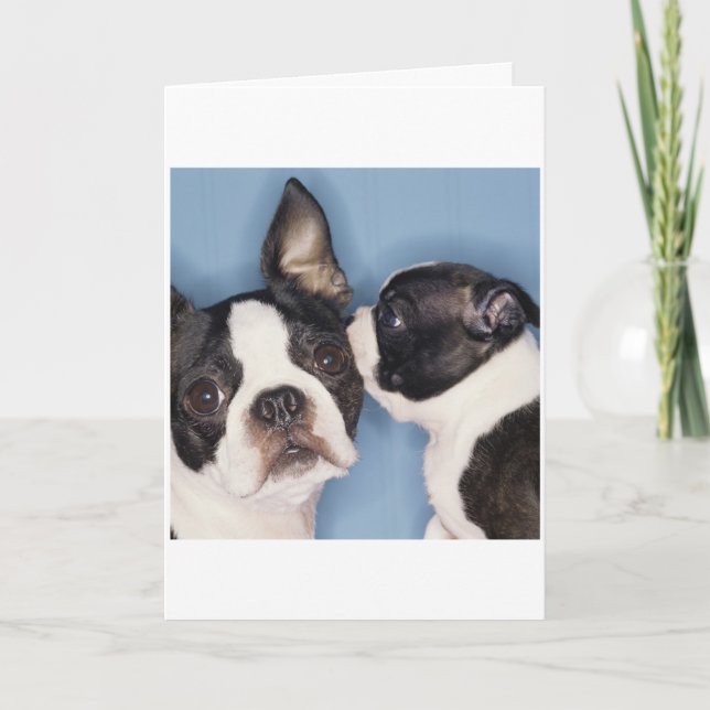 Cartão Boston Terrier Father's Day Card (Frente)