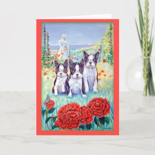 Cartão Boston Terrier Greeting Cards