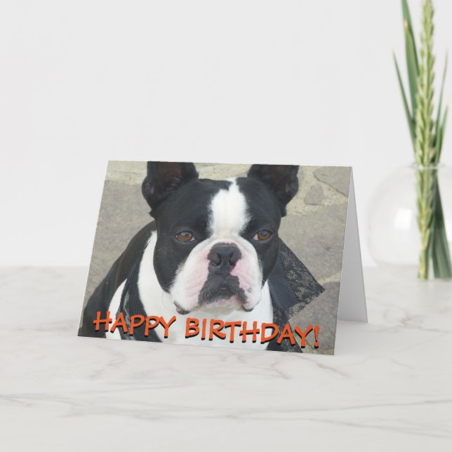 Cartão Boston Terrier greetings card (Frente)