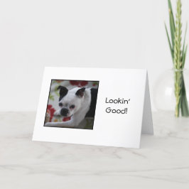 Cartão Boston Terrier Looking Good Birthday Card