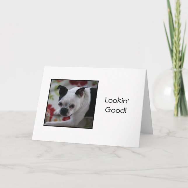 Cartão Boston Terrier Looking Good Birthday Card (Frente)