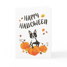 Boston Terrier Pumpkin Fall Sai do Halloween