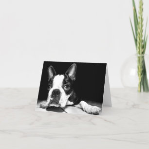 Cartão Boston Terrier Puppy Dog Blank Notecard