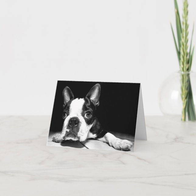 Cartão Boston Terrier Puppy Dog  Blank Notecard (Frente)