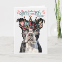 Boston Terrier Queen por um dia de aniversário eng