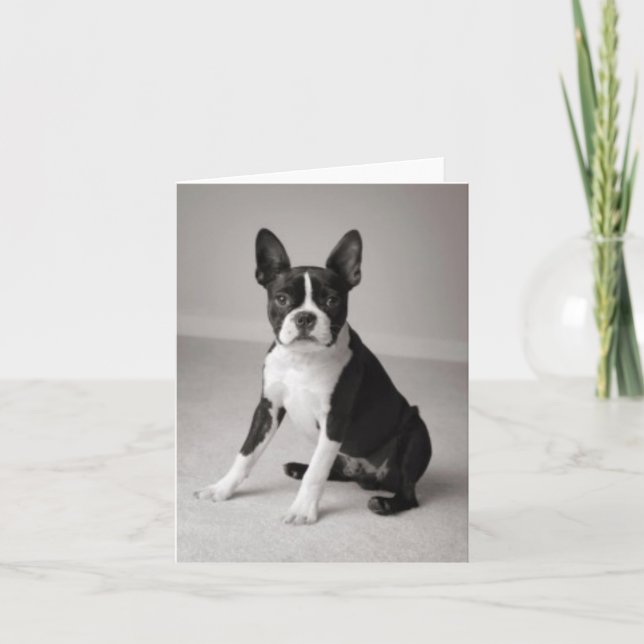 Cartão Boston Terrier Sitting Note Card (Frente)