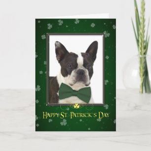 Cartão Boston Terrier St. Patrick's Day Card