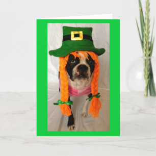 Cartão Boston Terrier St. Patrick's Day card