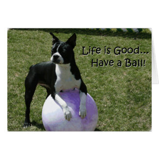 Cartão Boston Terrier: Tenham uma bola!
