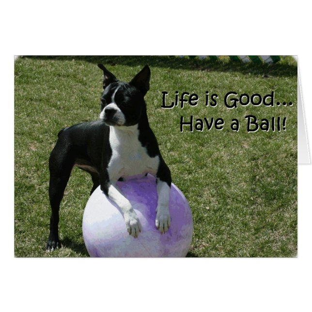 Cartão Boston Terrier: Tenham uma bola! (Frente Horizontal)