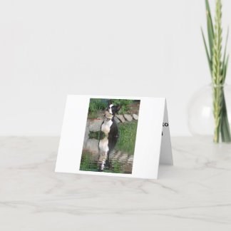 Cartão Boston Terrier thinking about you card