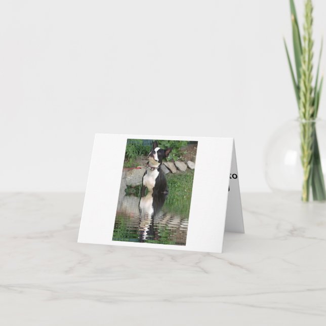 Cartão Boston Terrier thinking about you card (Frente)