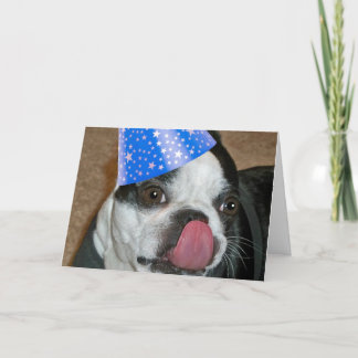 Cartão Boston Terrier Tongue Happy Birday Card