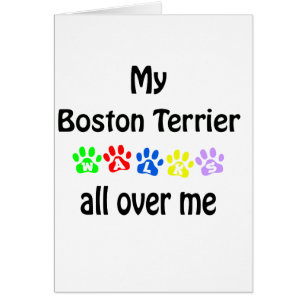 Cartão Boston Terrier Walks Design