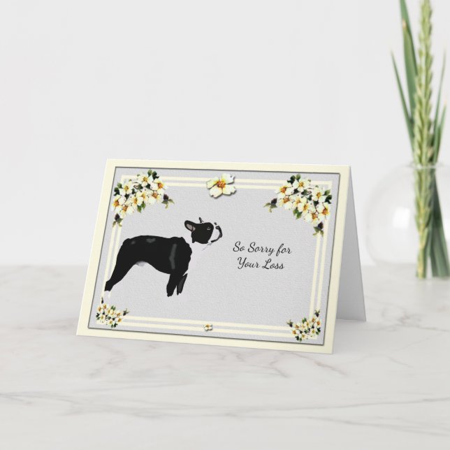 Cartão Boston Terrier with Dogwood Sympathy (Frente)