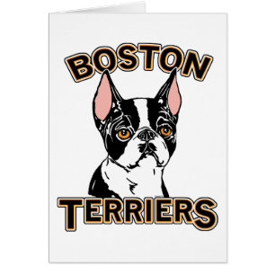 Cartão Boston Terriers Mascot