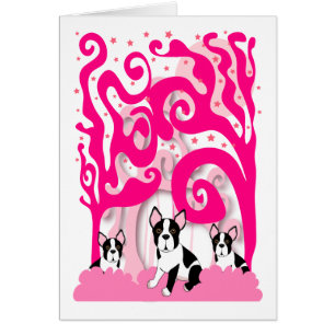 Cartão Bostons no rosa