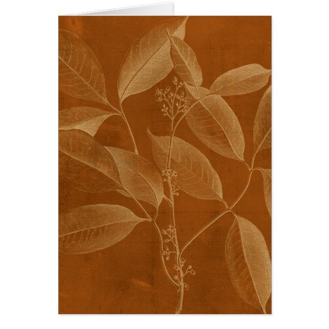 Cartão Botânica Moderna VI (Frente)