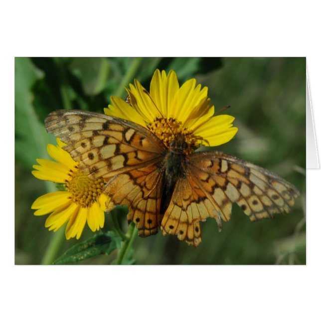 CARTÃO BOTÃO (Frente Horizontal)