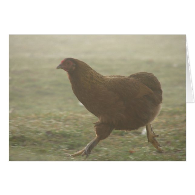 Cartão Botas no Nevoeiro (Frente Horizontal)