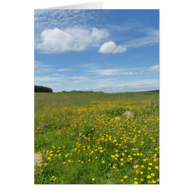 Cartão "Botões de ouro! " (Frente)