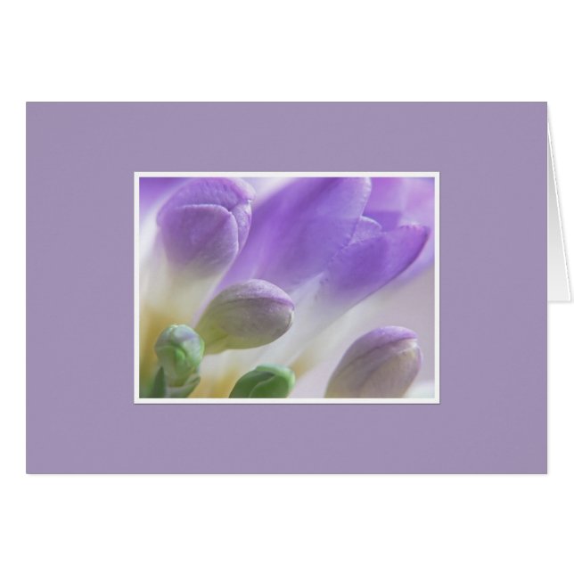 Cartão Botões do Freesia (Frente Horizontal)